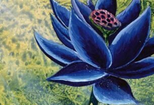 Magic: The Gathering Black Lotus é vendido por US$ 3 milhões