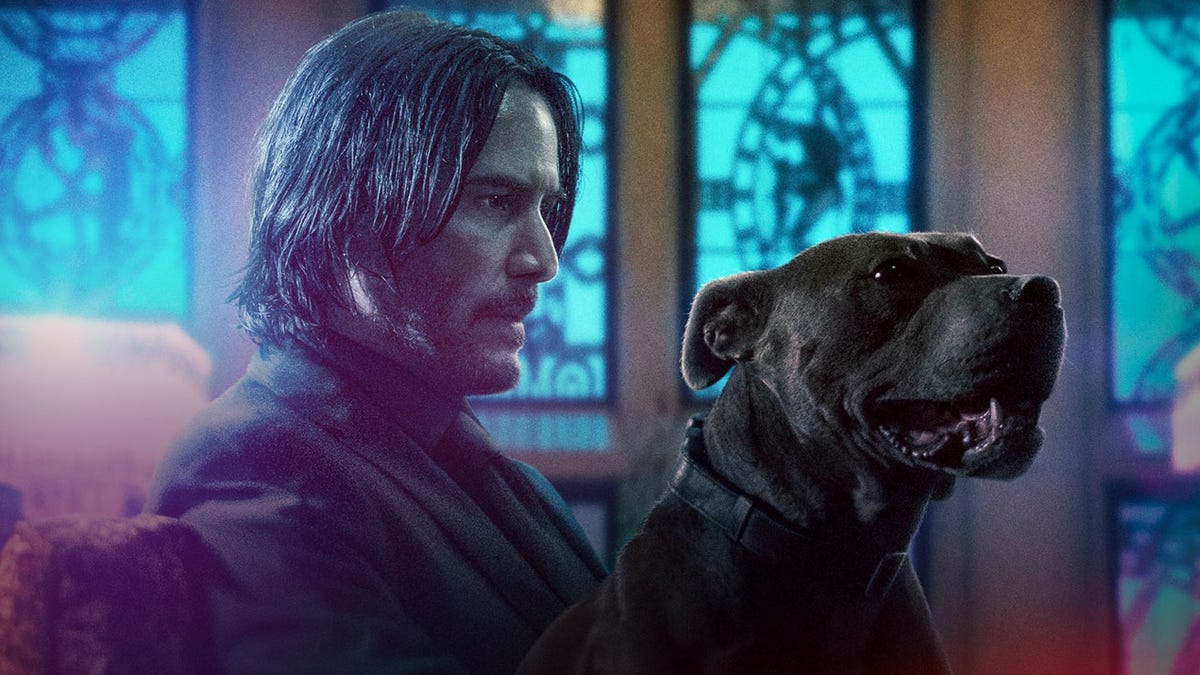 Série de TV John Wick anunciada, mas não estrela John Wick