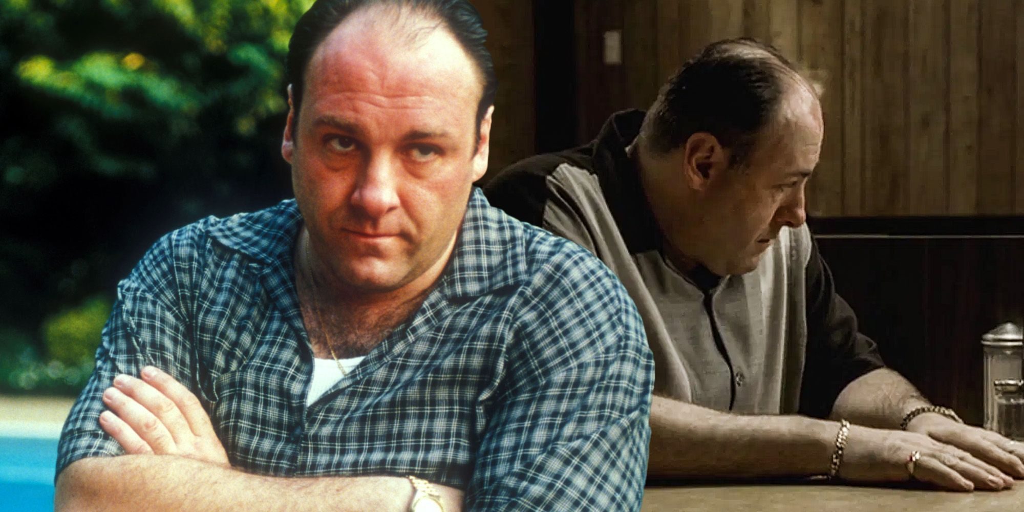 Por que a série Sopranos terminou após a 6ª temporada