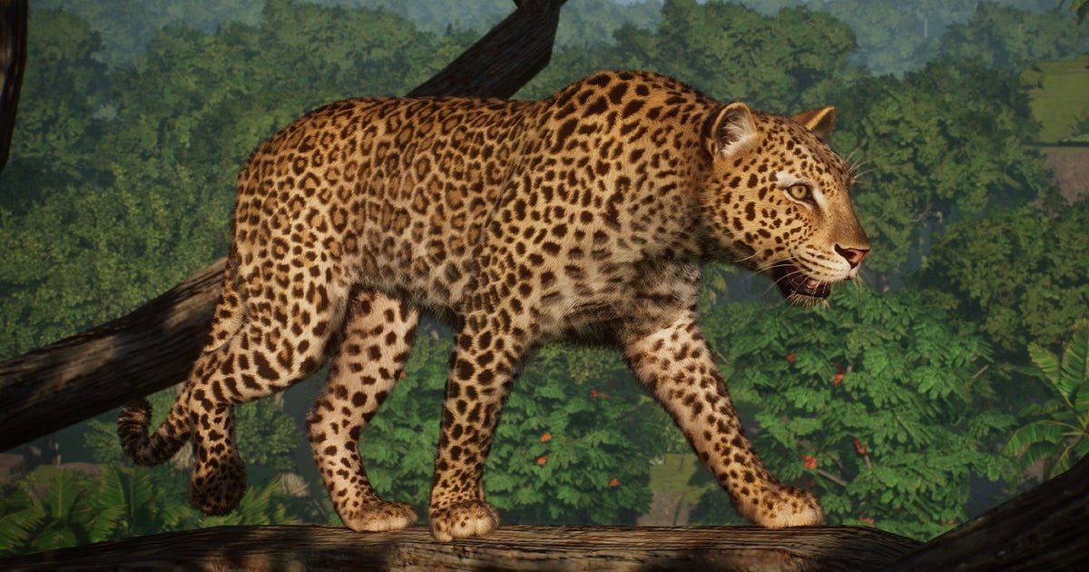 Planet Zoo comemora quinto aniversário com mais DLC e um leopardo grátis