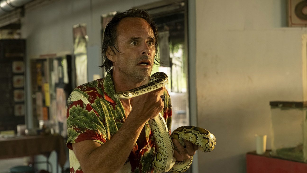 Walton Goggins in The White Lotus