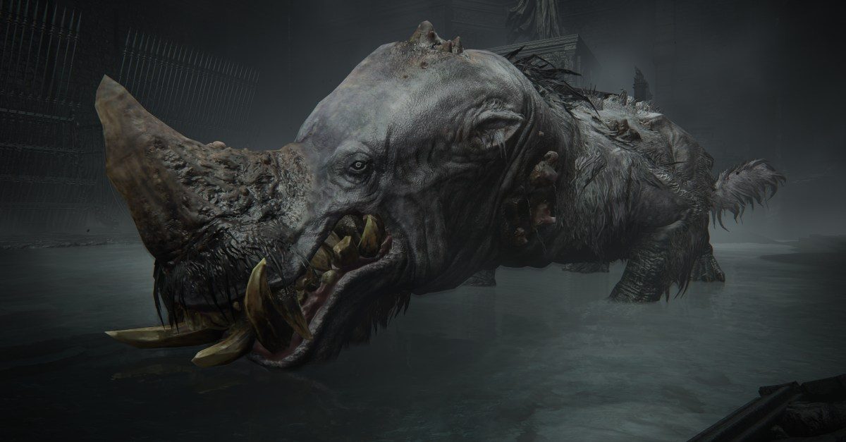 Hippopotamus dourado é o anel Elden Nightreign mais irritante