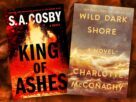 10 melhores livros de suspense de 2025 (até agora)