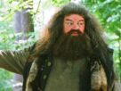 Diretor original critica a aparência de Hagrid