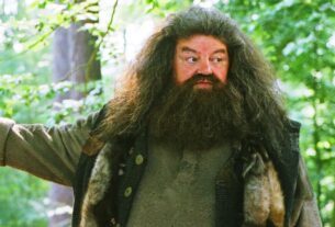 Diretor original critica a aparência de Hagrid