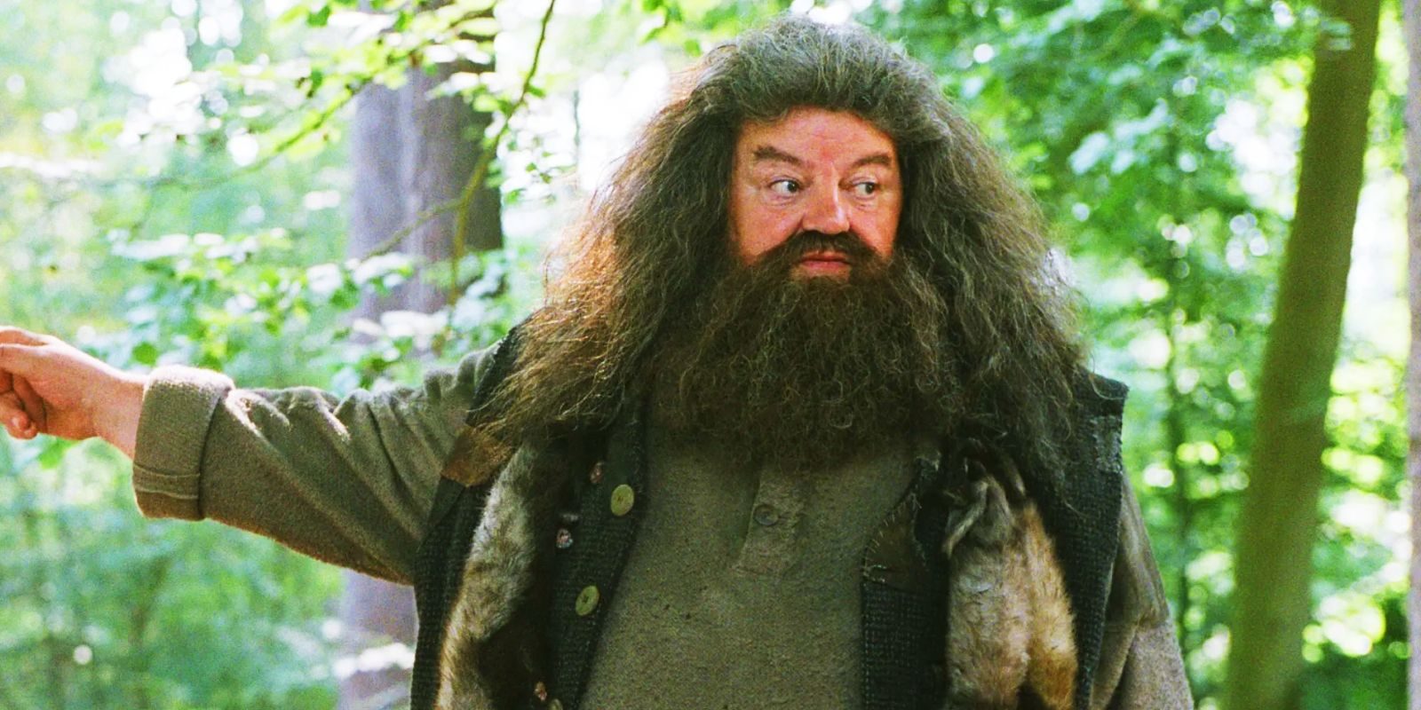 Diretor original critica a aparência de Hagrid