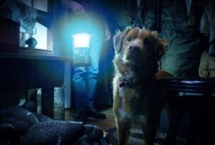 A dog looks at something off-screen.
