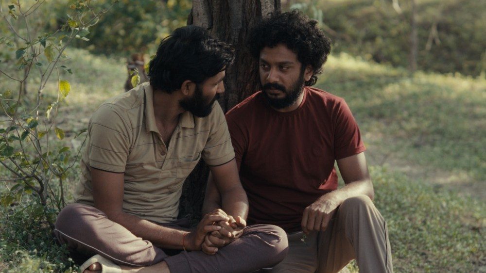O vencedor do Sundance 'Cactus Pears' recebe o lançamento indiano via Spirit Media