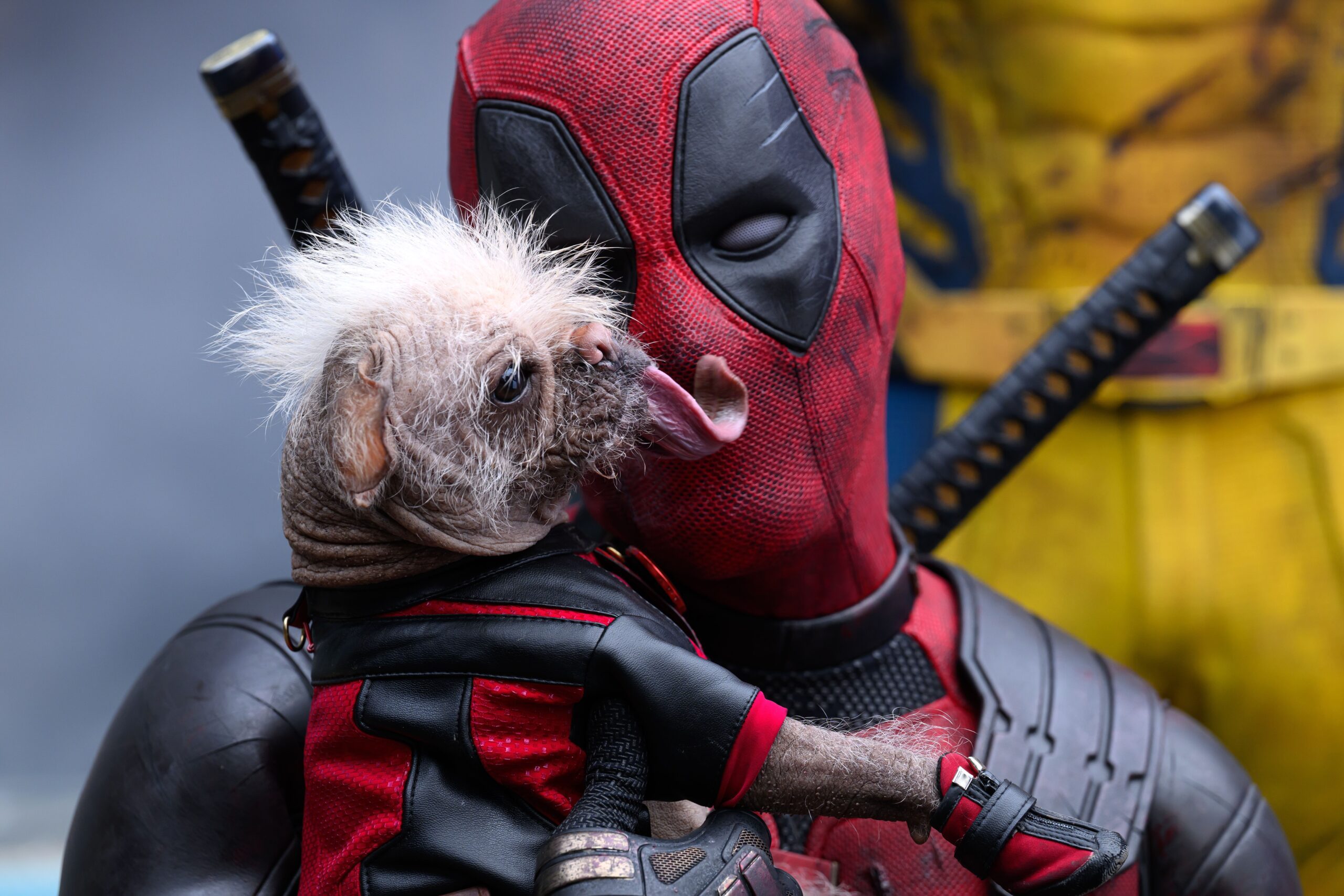 Ryan Reynolds provoca o futuro do MCU de Deadpool em meio a elektra netflix Surge