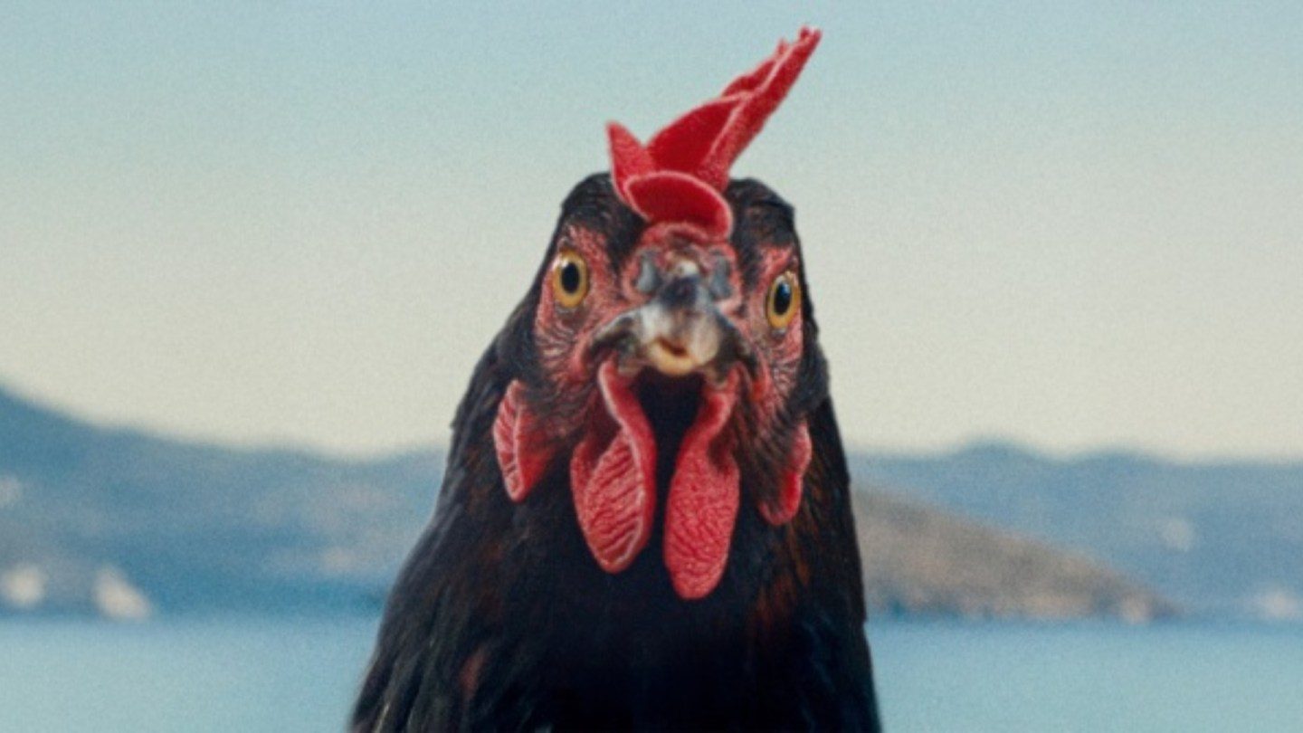 György Pálfi apresenta 'Hen' (exclusivo trailer de San Sebastian)