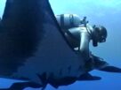 O diretor de 'The Last Dive' fala de manta raios