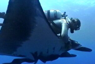 O diretor de 'The Last Dive' fala de manta raios