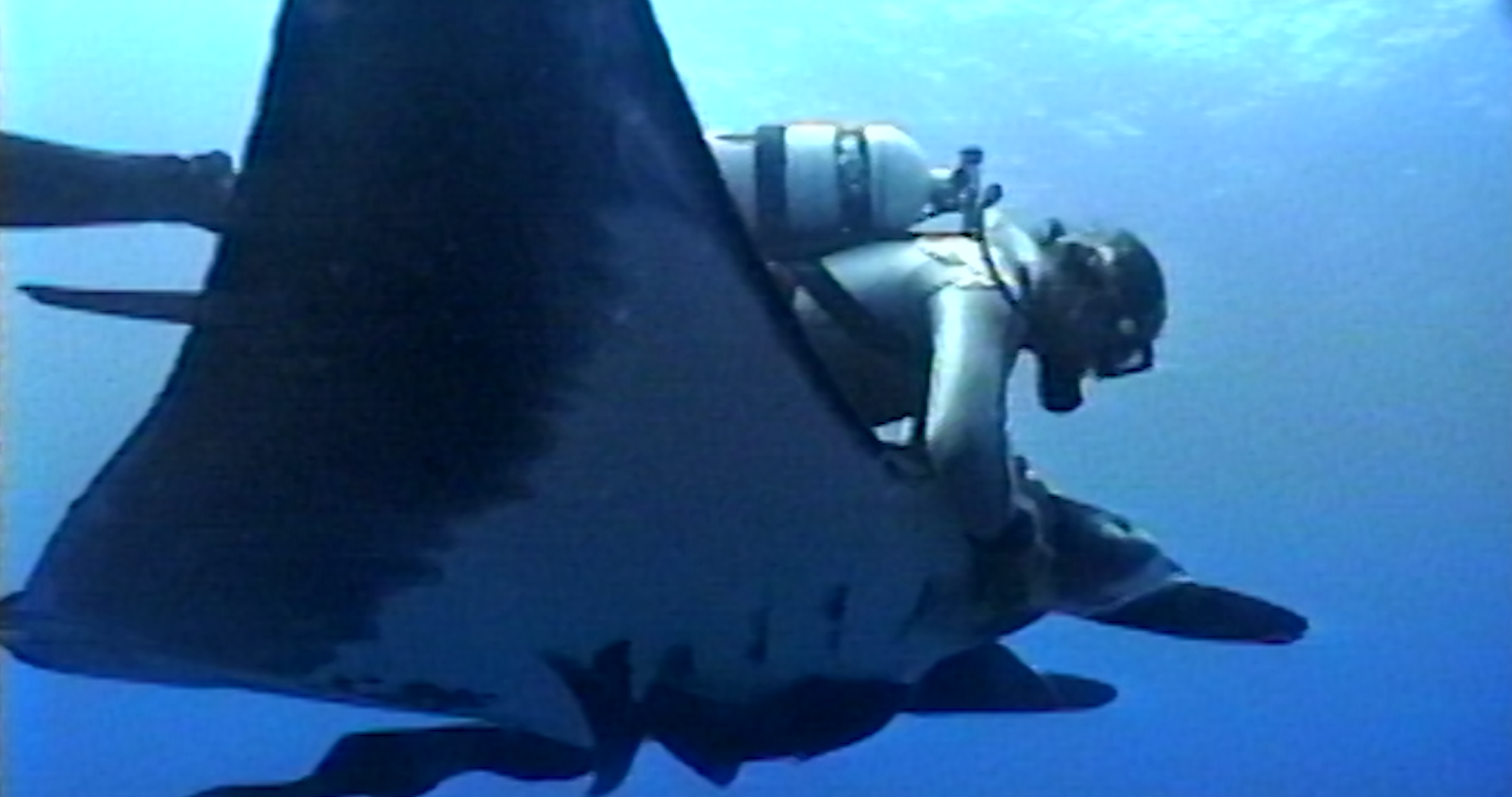 O diretor de 'The Last Dive' fala de manta raios