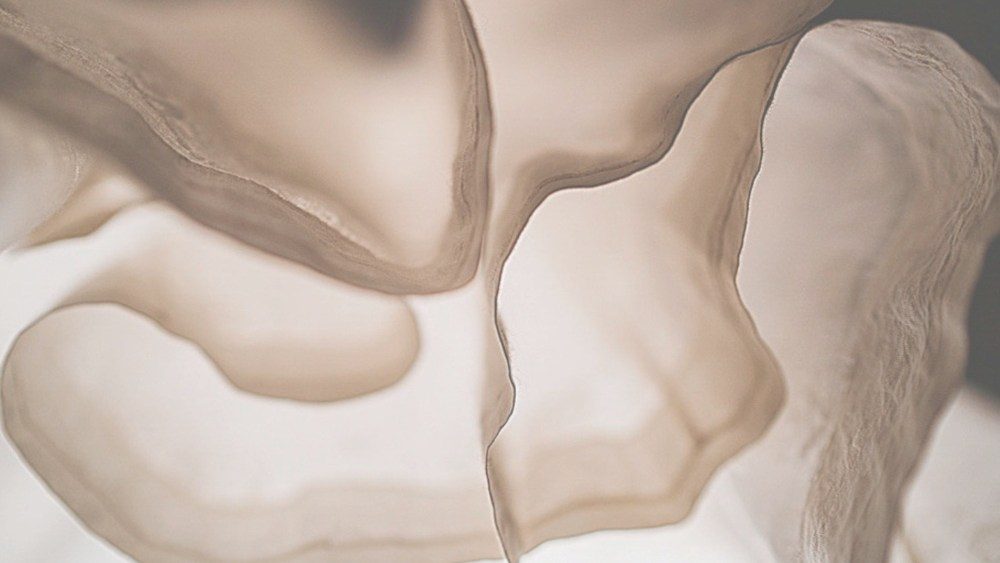 'Silence of the Looms' revive História da musselina no Busan Project Market