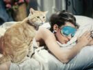 Audrey Hepburn with Orangey in Breakfast at Tiffany’s.