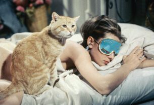 Audrey Hepburn with Orangey in Breakfast at Tiffany’s.