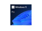 Windows 11 Pro
