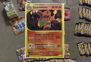 A Charmelon card is displayed on a basement floor.