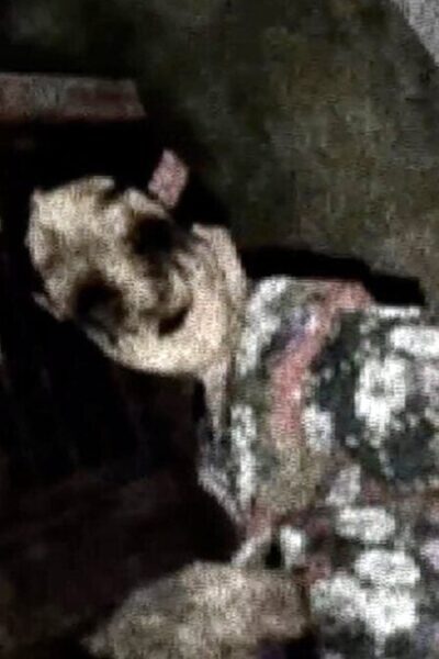 Labirinto do Rei Demônio é uma felicidade de terror e sobrevivência Lo-Fi