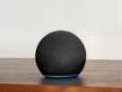 Amazonechodot
