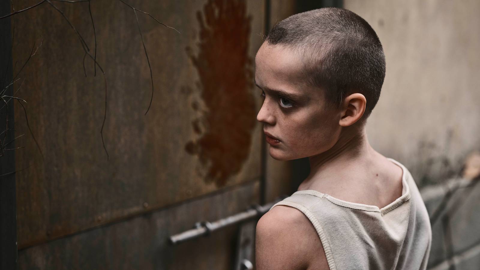 Traga -a de volta, vingador tóxico, a arma nua e todos os filmes em streaming nesta semana