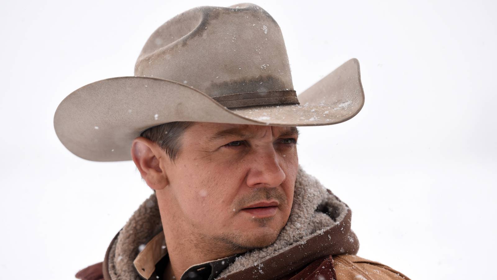 Wind River: o próximo capítulo