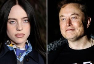 Billie Eilish critica Elon Musk por acumular dinheiro como trilionário