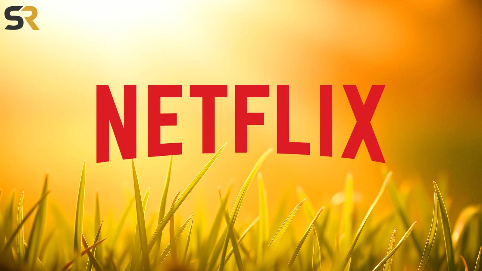 Os 5 programas imperdíveis da Netflix esta semana: 3 a 9 de novembro de 2025