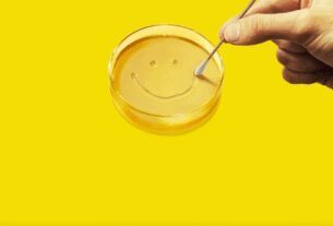 Pluribus foi inspirado na ciência "quase legítima" e nos peixes caribenhos