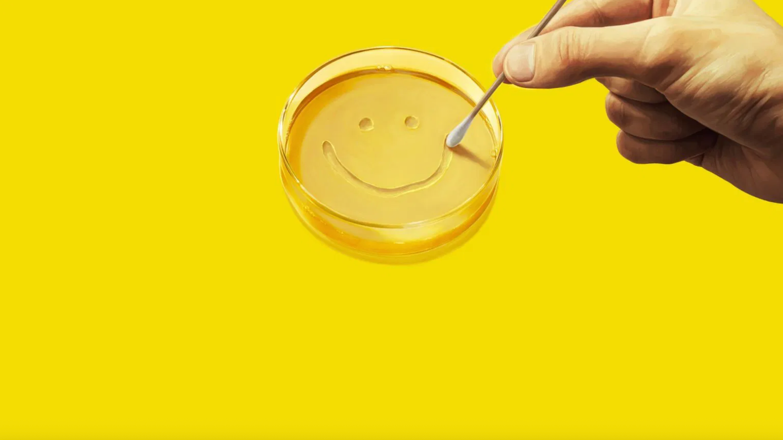 Pluribus foi inspirado na ciência "quase legítima" e nos peixes caribenhos