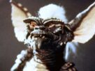GREMLINS, Stripe, 1984.
